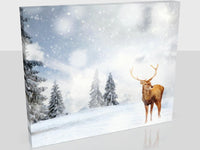 Beautiful Reindeer Christmas Print In Five Sizes