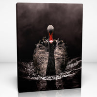 BLACK SWAN Canvas Print Wall Décor