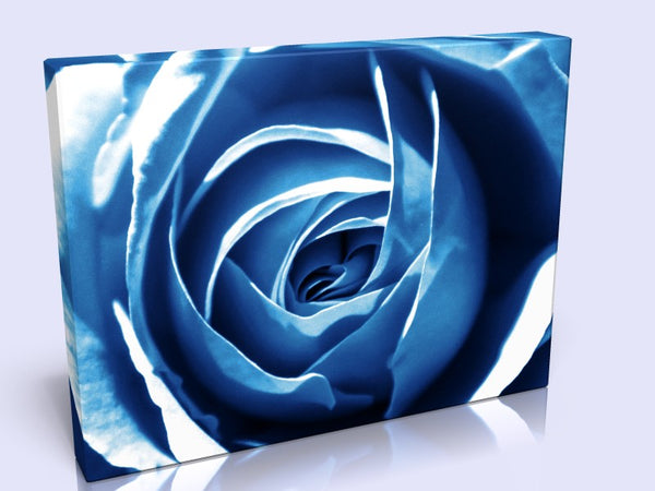 Stunning Blue Rose Canvas Print Available In 2 Sizes