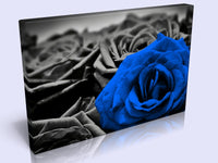 A Lovely Canvas Feature. 7 Colours To Choose From To Suit Any Decor.