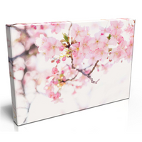 Beautiful Cherry blossom Canvas Print. Luxury Canvas with Handcrafted Pine Frame