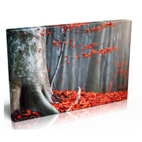Stunning Autumn Forest Red Leaves. Luxury Canvas with Handcrafted Pine Frame