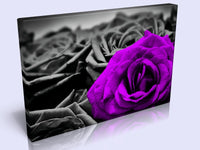 A Lovely Canvas Feature. 7 Colours To Choose From To Suit Any Decor.