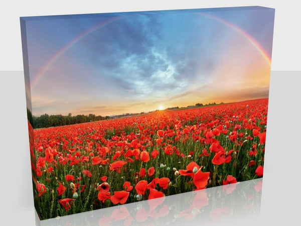 Stunning Poppy Field And Rainbow In Two Sizes