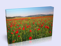 Beautiful Poppy Field Canvas in 3 Sizes