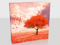 Autumn Tree At Sunset Available In Six Sizes