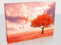 Autumn Tree At Sunset Available In Six Sizes