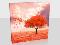 Autumn Tree At Sunset Available In Six Sizes