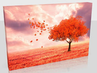Autumn Tree At Sunset Available In Six Sizes