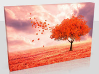 Autumn Tree At Sunset Available In Six Sizes