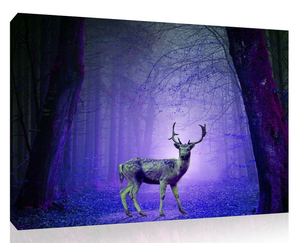 Beautiful Deer In Purple woods Canvas Print. Luxury Canvas with Handcrafted Pine Frame