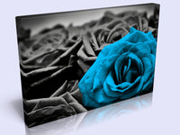 A Lovely Canvas Feature. 7 Colours To Choose From To Suit Any Decor.