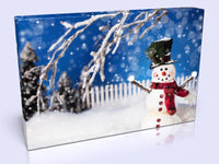 Cute Christmas Themed Snowman Canvas Print In 4 sizes