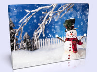 Cute Christmas Themed Snowman Canvas Print In 4 sizes