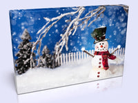 Cute Christmas Themed Snowman Canvas Print In 4 sizes