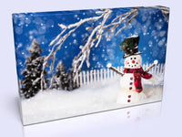 Cute Christmas Themed Snowman Canvas Print In 4 sizes