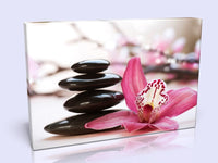 Zen Balancing Stone And Pink Flower Canvas